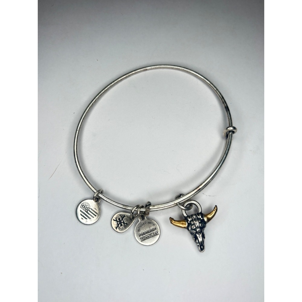 Alex and Ani Steer Bull Skull Charm Bangle Bracelet Silver Gold Tone Adjustable